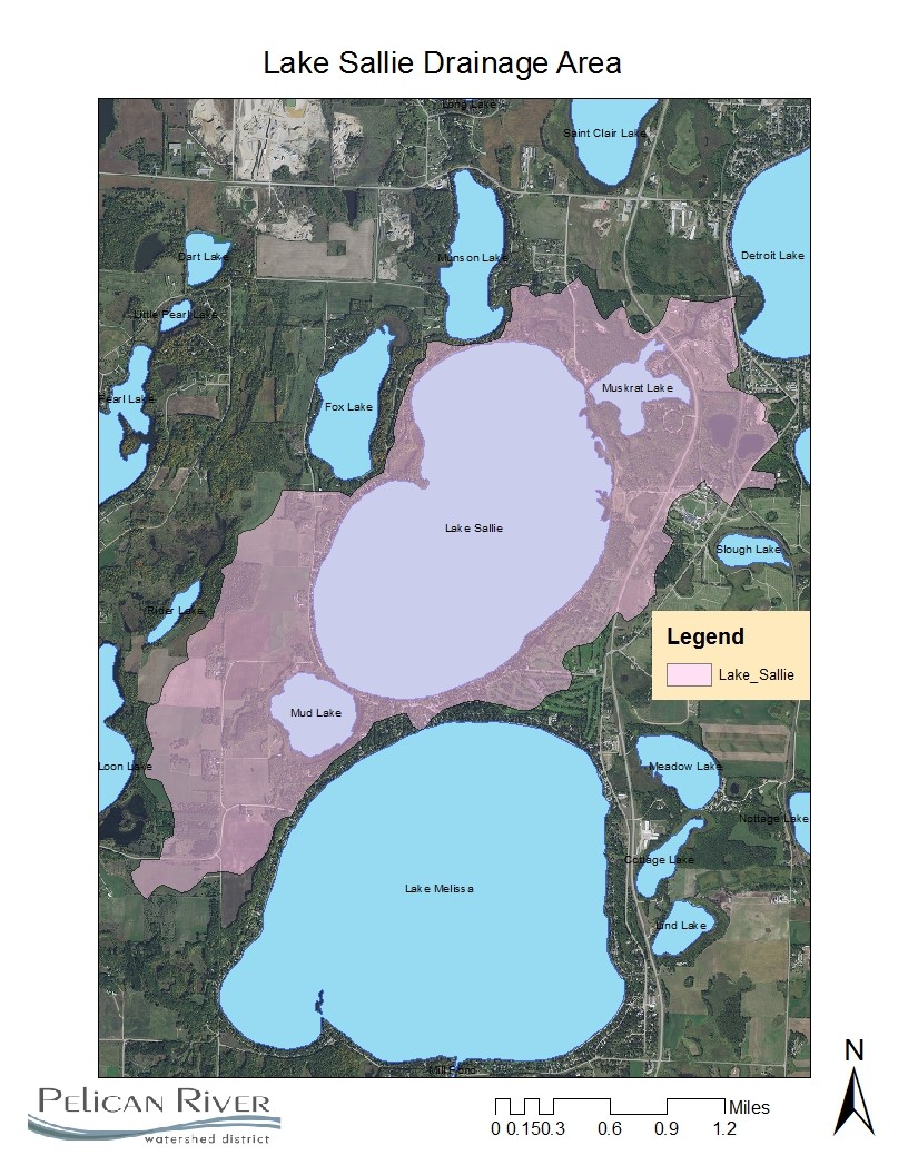 detroit lakes map